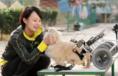 带我回家：因为我们都有强大的爱在身后支撑，娘娘与流浪狗的故事