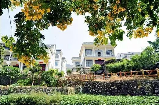 愿你在养老之时，有个农家小院可忙活