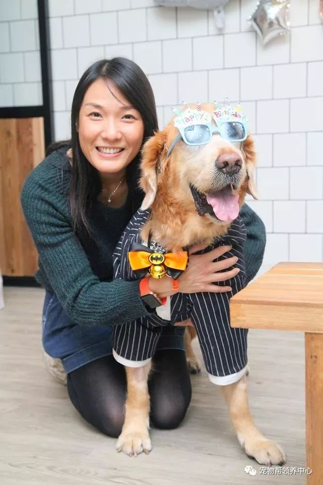 老金毛患淋巴癌，兽医告知还剩一个月，妈妈研读600页英文书救命