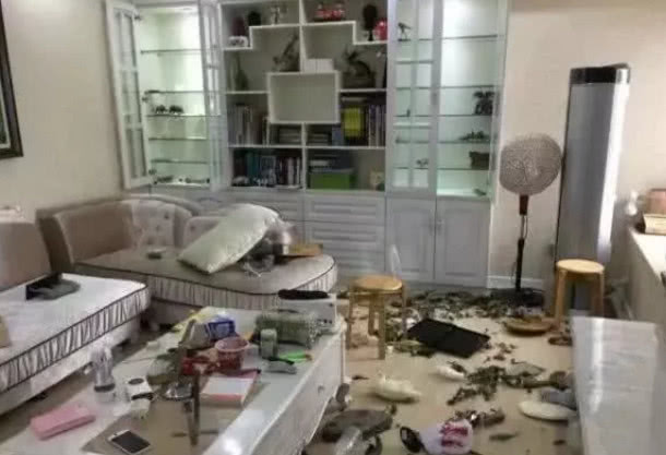 熊孩子不再是“手办凶手”，地震才是！看了网友的手办替他心疼