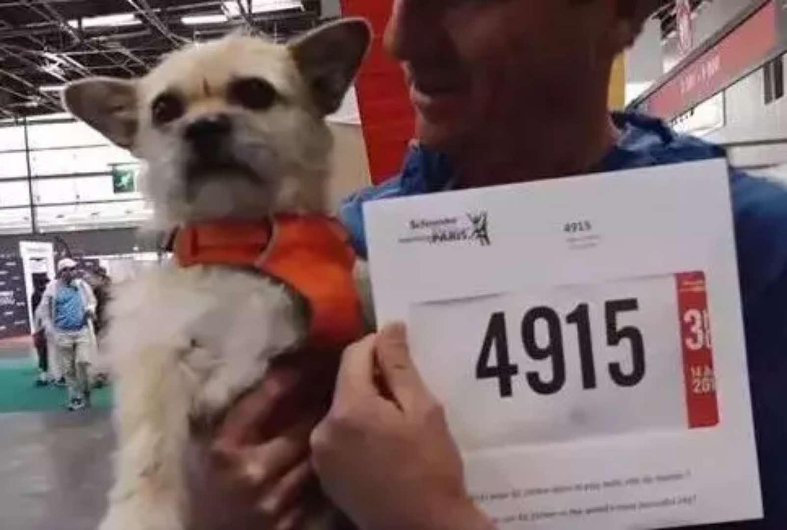 有些汪，抱着抱着就再也抱不动了~