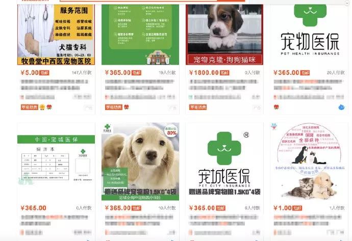 花4000给猫主子买保险，究竟值不值得？