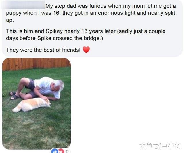 爸说养狗狗就宰了你，后面把狗宠上天，那些爸妈养狗前后大转变