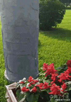 不是说建国之后动物不可以成精的吗？