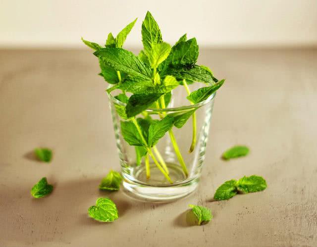 注意：头上出现3现象，说明头皮里的螨虫有数亿只