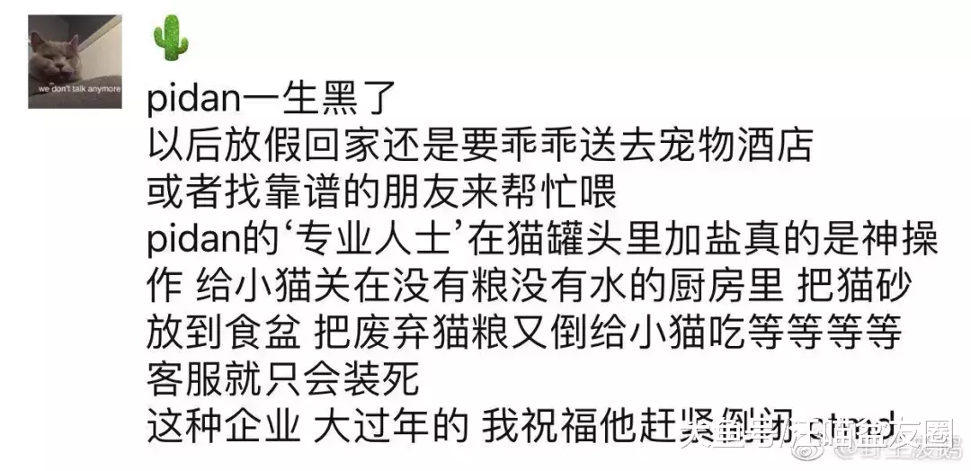 誰能想到，花150元雇人喂貓，我的貓卻成了救助對象