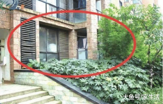 选楼层万万不要考虑这一层，做过物业都知道缺点，别花钱买难受