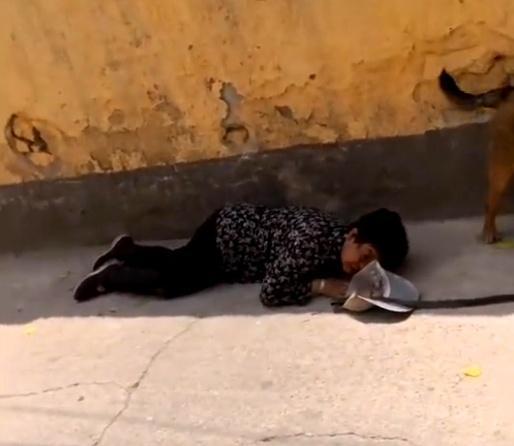 老人遛狗摔倒，无人敢扶，因为忠犬守护不让人靠近