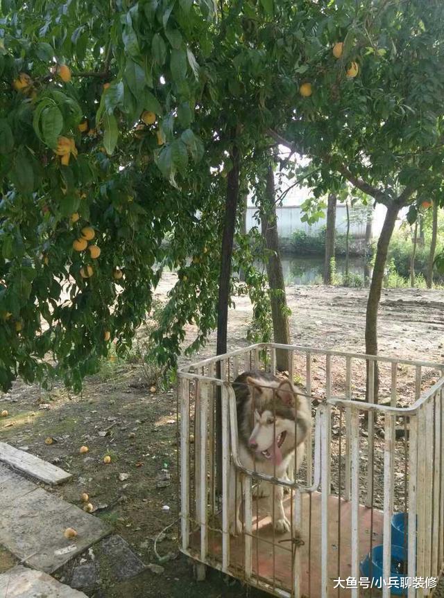 周末回农村老家，看到表哥的两层别墅，我心里感慨万千！