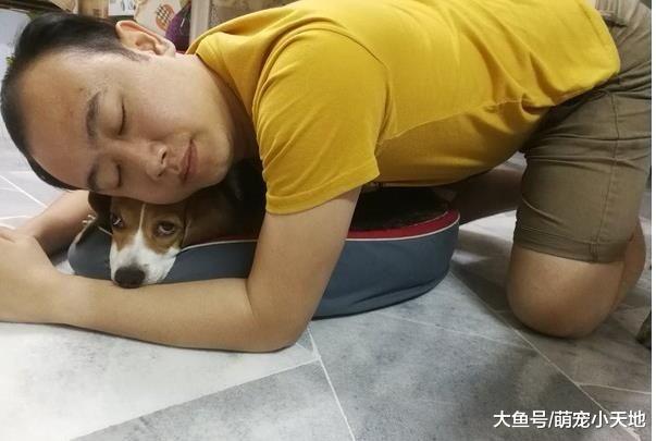 男友婚前叹觉得养狗顾不了家，揭背后原因让未婚妻暖哭！