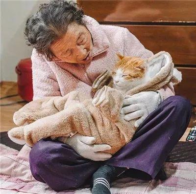 被奶奶带大的橘猫, 就是和别人家的不一样哈