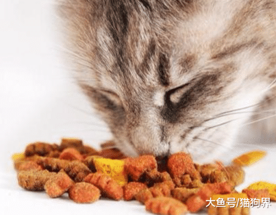 你知道天然粮和普通猫粮有什么区别吗？