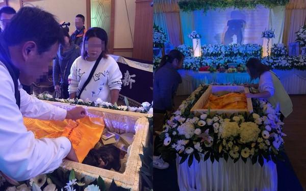 忠犬風光下葬遭反對，女主人一番話讓人感動，只有養過狗才會懂