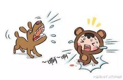 作为被狗咬过3次的人告诉你，珍爱生命，这4种狗千万不能再养