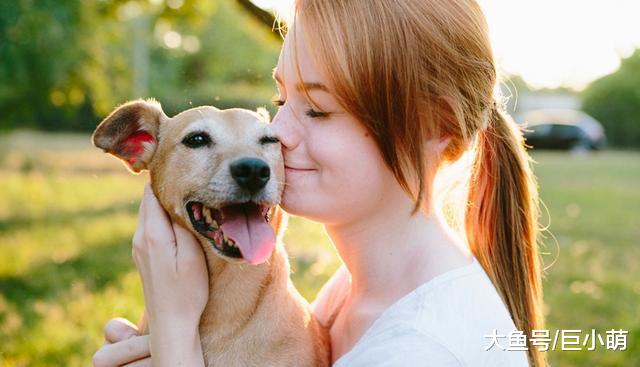 狗狗的压力全部来自于环境？其实主人才是最影响狗狗的因素