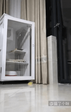 糟糕，喵星通往地球的次元壁破了