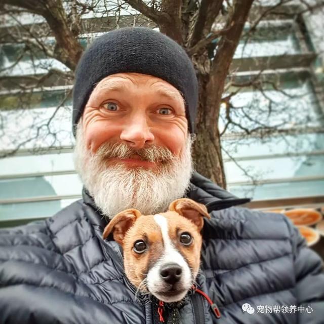 杰克罗素梗失踪三天，大胡子铲屎官竟挖地三尺将它找回……