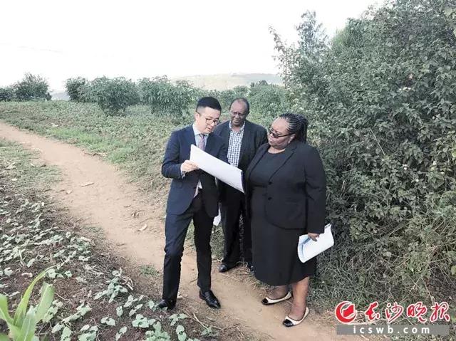 这是真的！长沙企业在非洲，三天就能建成一幢别墅！