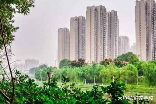 自由职业者想用公积金买房怎么办？如何操作才能办理住房公积金