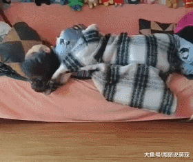 我为什么不难过，因为狗子不允许啊......