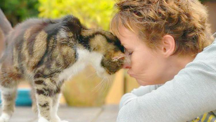 這樣對貓咪，比打它更讓它印象深刻