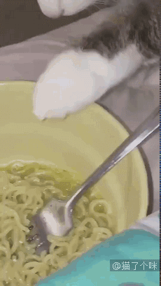 仓鼠死了，悲痛欲绝的主人和忐忑不安的罪魁祸首