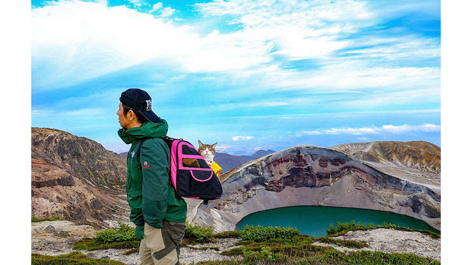 真事！科技公司的CEO竟然聘任两只猫咪为员工并带它们到处旅行
