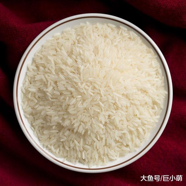 狗狗能吃米饭吗？天天吃米饭好吗？炒饭狗狗可以吃吗？