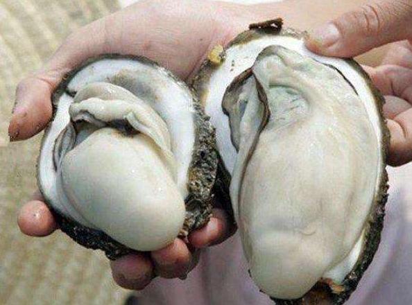 男人上了年纪，还经常抽烟喝酒，建议多吃下面几款食物，受益无穷