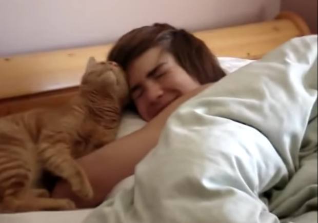 猫咪看到小主人还没起床，跳上去做出这动作叫醒主人，让人好暖心