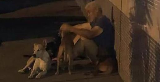 流浪汉生病入院，6只流浪狗守在医院门口，怎么赶都不走！