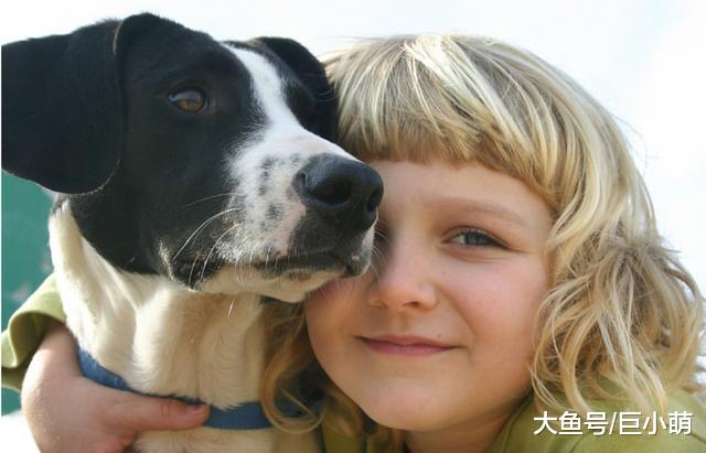 我家狗狗不咬人？85%以上是被家养狗咬伤，但真不能怪狗