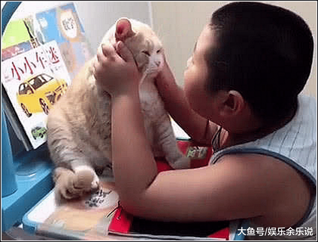 儿子即将考试，女主让橘猫去监督，半个小时推门一看不淡定了