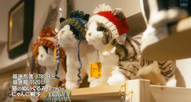 我虽然长得很凶，但我爱猫啊！