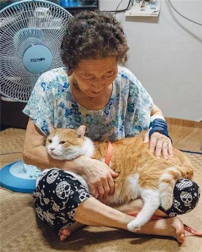被奶奶带大的橘猫, 就是和别人家的不一样哈