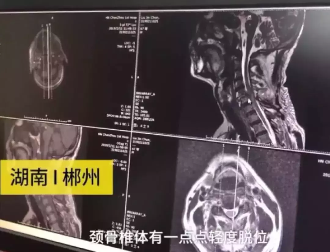當鏟屎官有多危險，看看這位鏟屎官你就知道了……