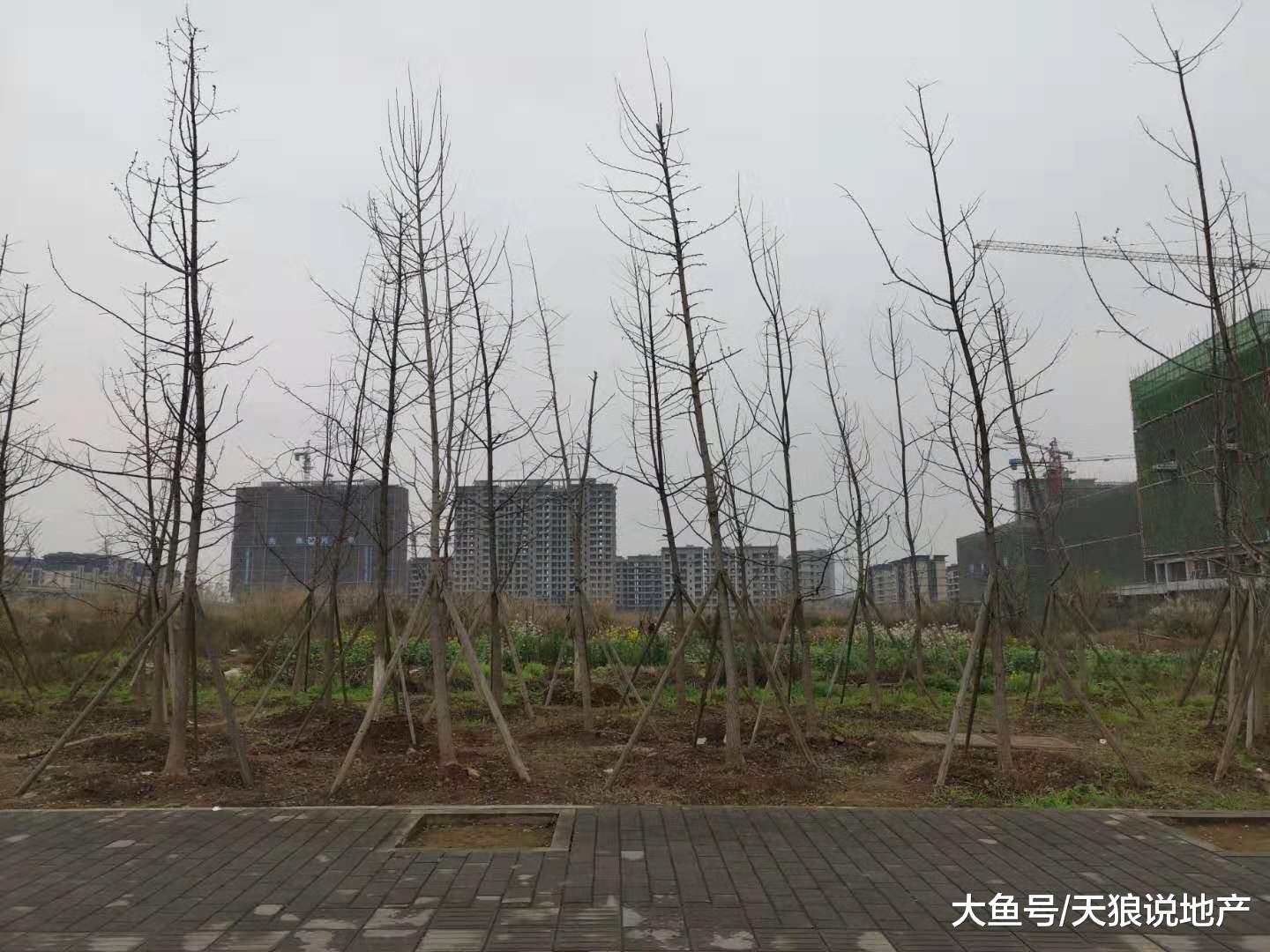 崛起的西永，才是2019年刚需买的区域