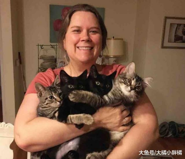 4只小猫暂居新家，为了永远待在家里，小猫们成功让夫妇成了猫奴