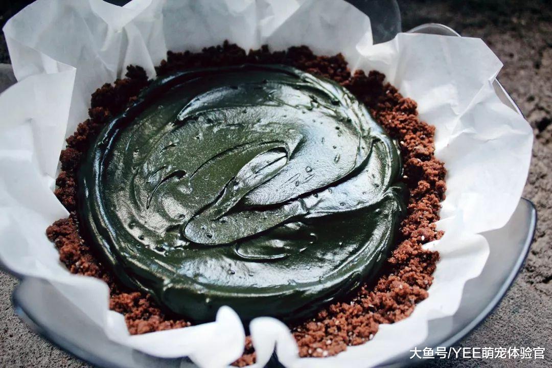 吃出健康品相的观赏鱼，都喜欢这种螺旋藻