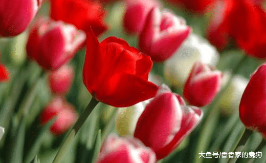 找这四个生肖的人借钱，比登天还难，你觉得准吗？