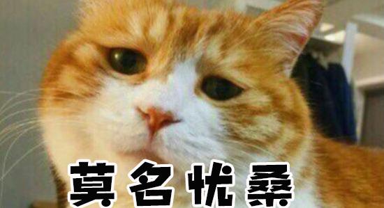 貓咪因為“高冷”才不愛喝水？你們都猜錯啦！
