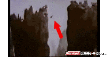 山羊这种生物，当真是牛bility！