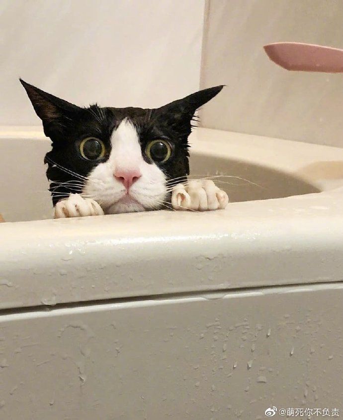 老娘好不容易哄睡觉的，你再揪个试试