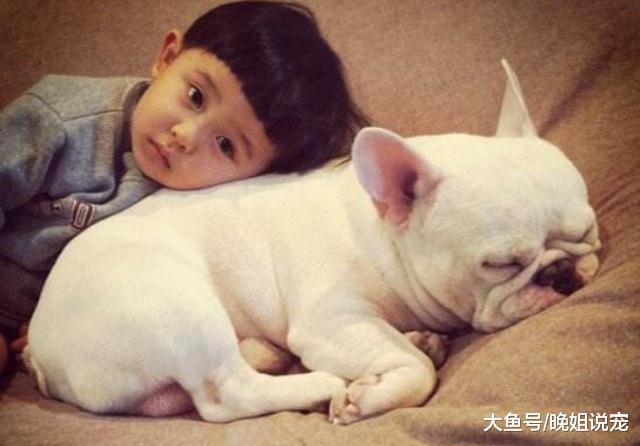 你的狗狗和你不亲近? 了解这几点, 想让狗狗不和女主人亲近都很难!