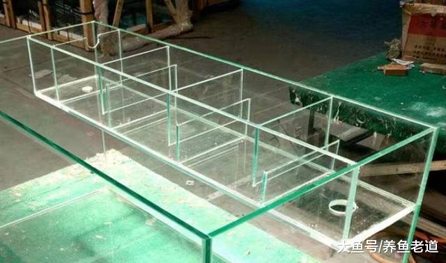 为什么我们鱼缸的上滤系统，总是发挥不了最佳的作用？