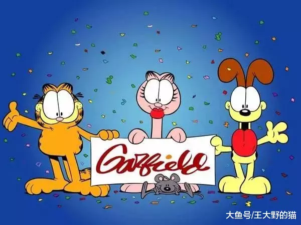 可爱又通人性的“明星加菲猫”，为什么很多人想养却又不敢养？