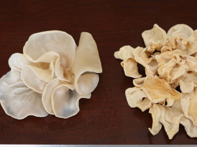 |一旦患有癌症,“手头再紧”也要坚持吃4物,癌细胞或不再“滋生”!