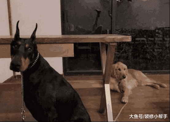 走进乐嘉现实的家，装修十分接地气，看不出是明星的家