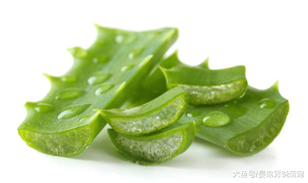 土豆号称“天然泻药”配它一起吃，排出臭宿便 ! 体重悄悄降下去