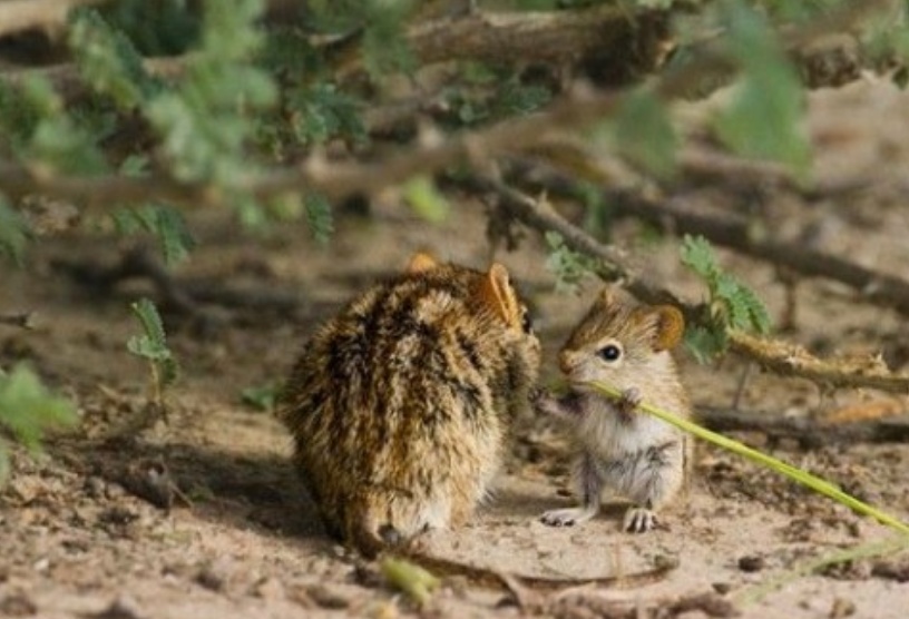 “我引以为傲的孩子，很可爱吧！”10张母爱满满的合照看着真暖心